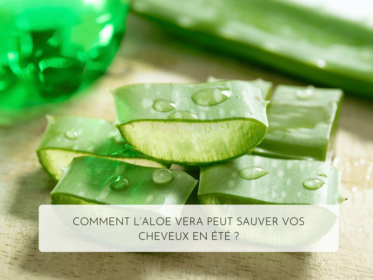 ist aloe vera komedogen Aloe Vera Gold Soft Skin Care