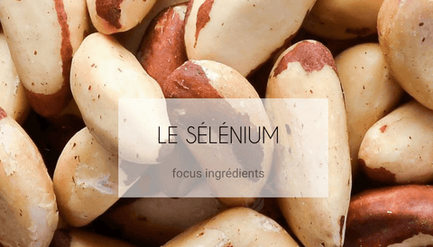 Tout savoir sur le sélénium - Jia Paris
