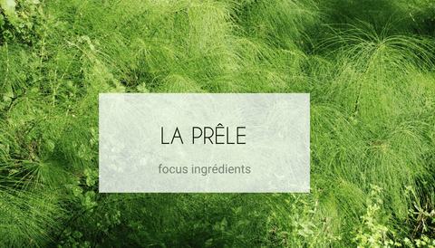 Prêle : Une multitude de vertus pour la peau et les cheveux - Jia Paris