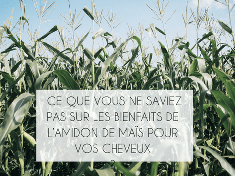 les bienfaits de l'amidon de maïs pour  les cheveux bouclés, frisés, crépus, afro